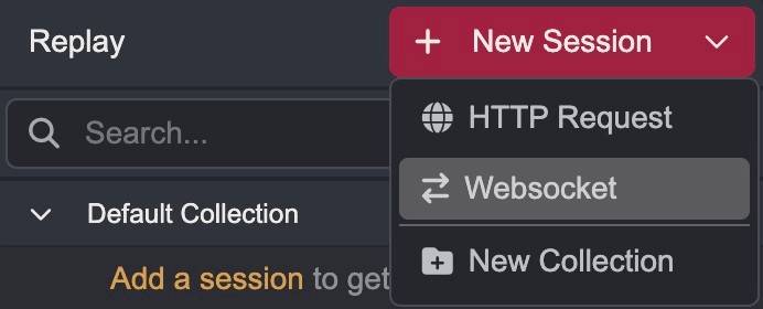 Creating a new WebSocket Replaysession.